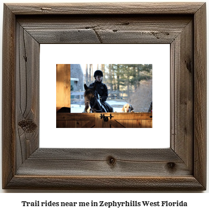 trail rides near me in Zephyrhills West, Florida